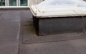 disadvantages of Bothampstead flat roofs