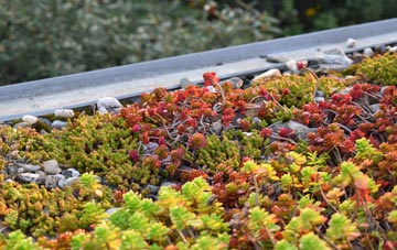 the cost of Bothampstead green roof installation